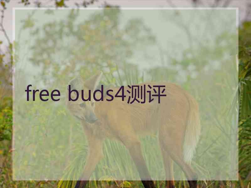 free buds4测评