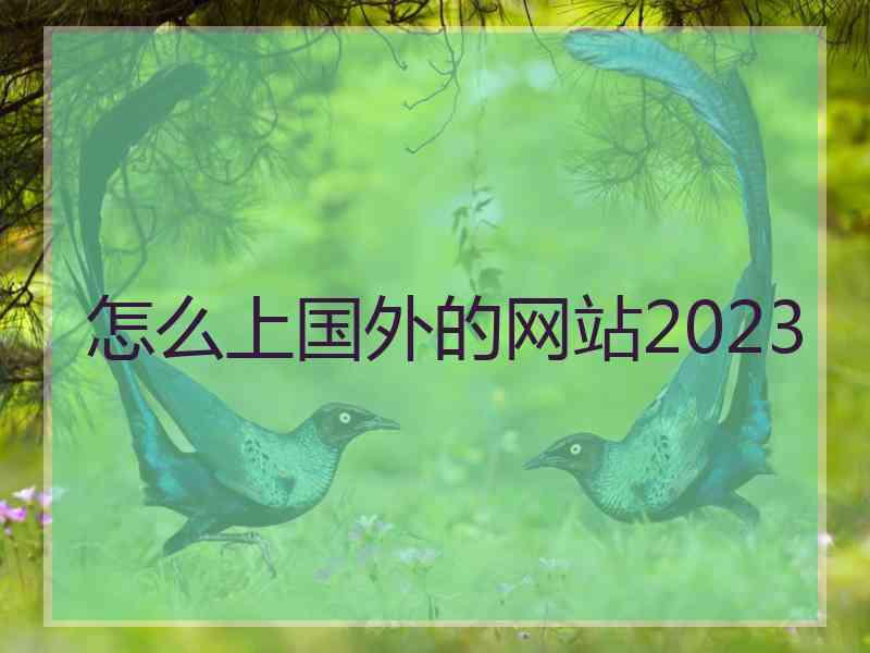 怎么上国外的网站2023