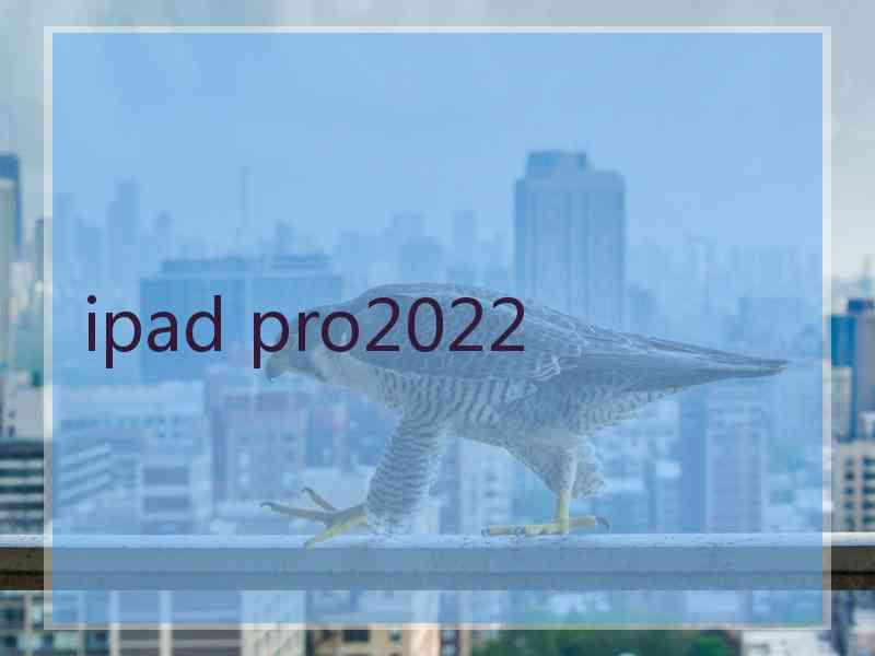 ipad pro2022