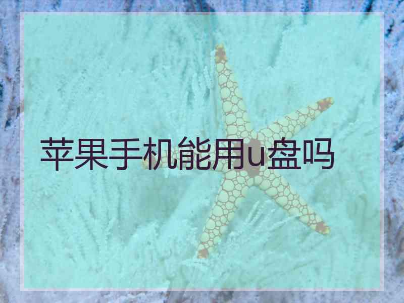 苹果手机能用u盘吗