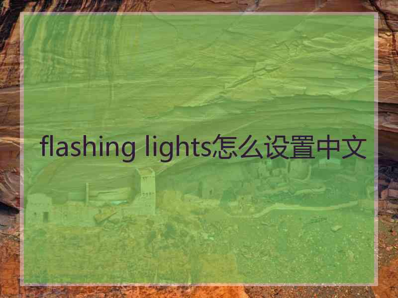 flashing lights怎么设置中文