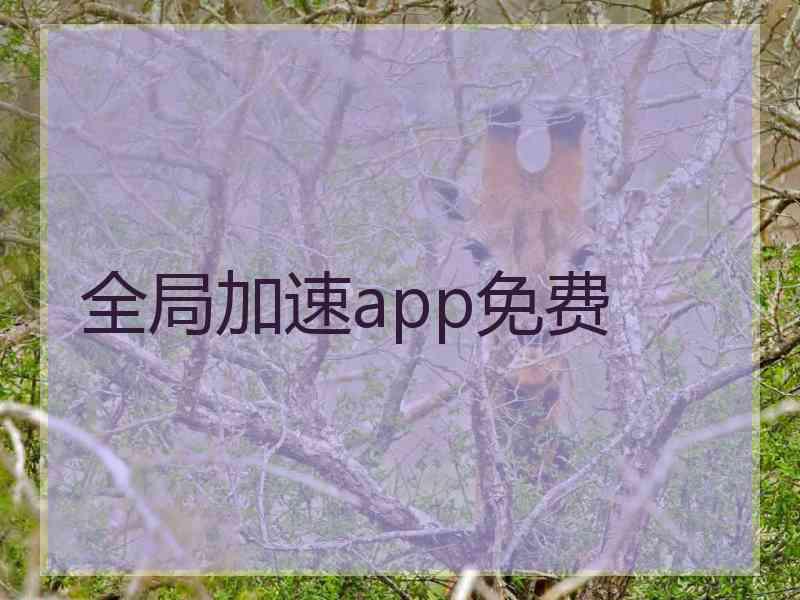 全局加速app免费