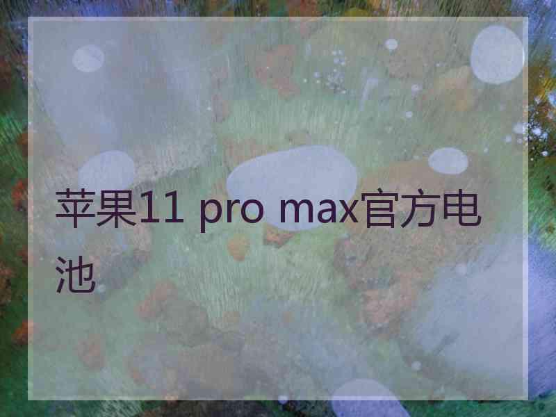 苹果11 pro max官方电池