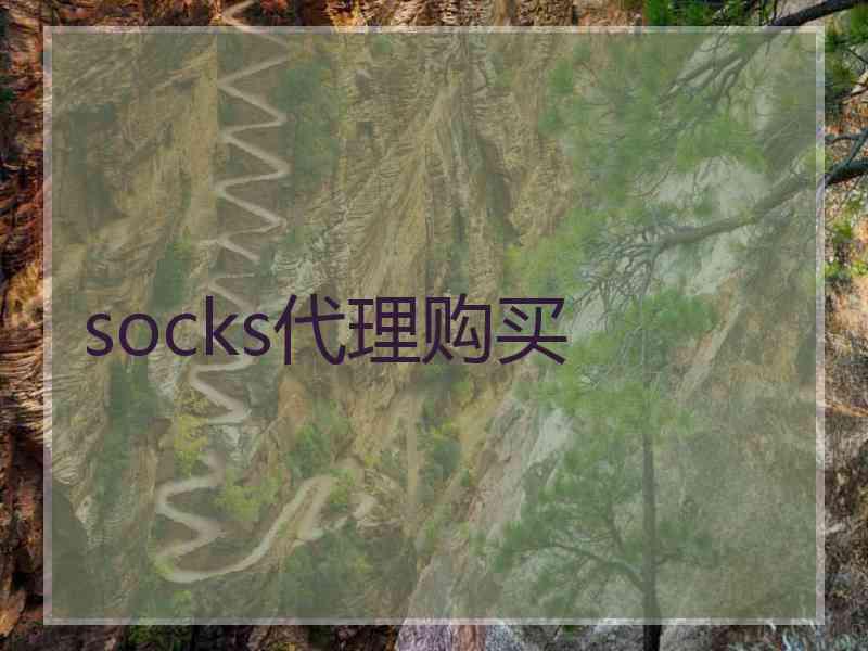 socks代理购买