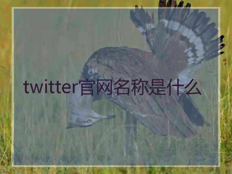 twitter官网名称是什么