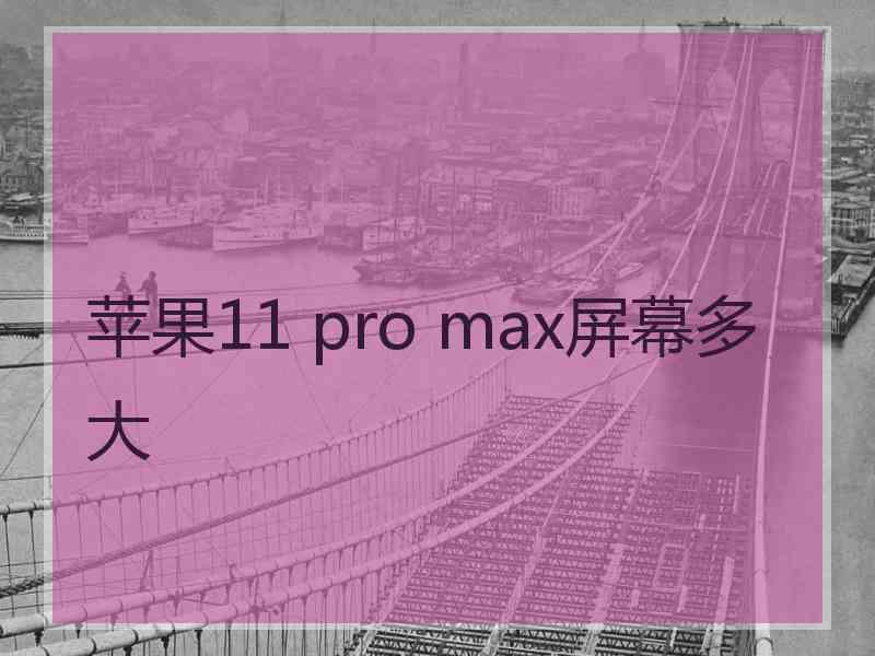 苹果11 pro max屏幕多大