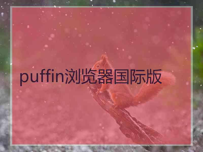 puffin浏览器国际版