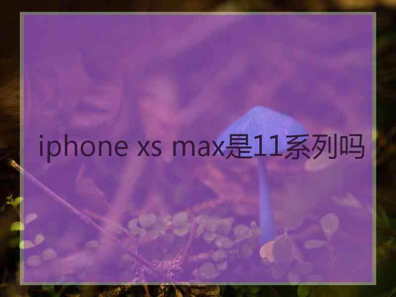 iphone xs max是11系列吗