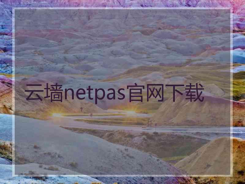 云墙netpas官网下载