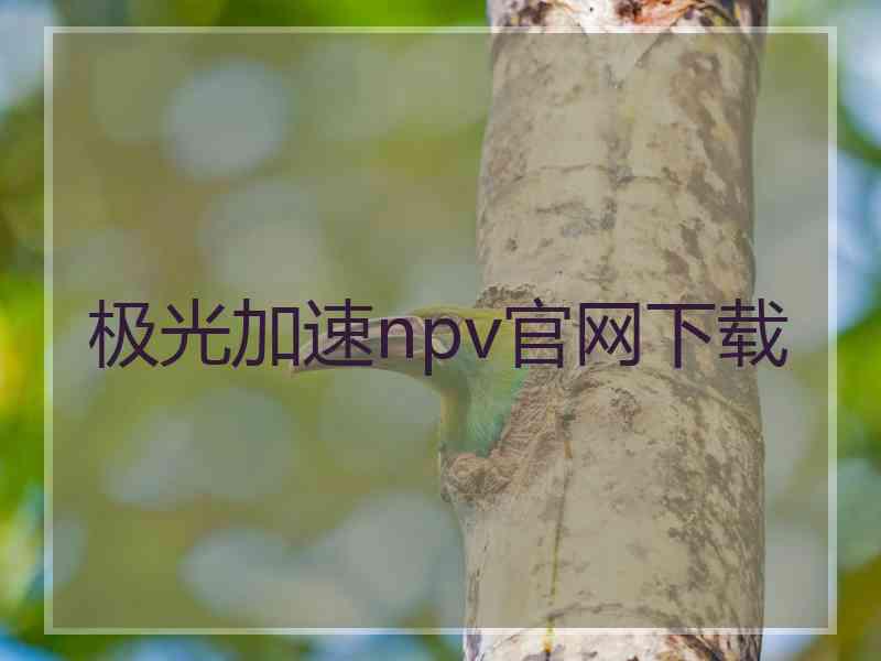 极光加速npv官网下载