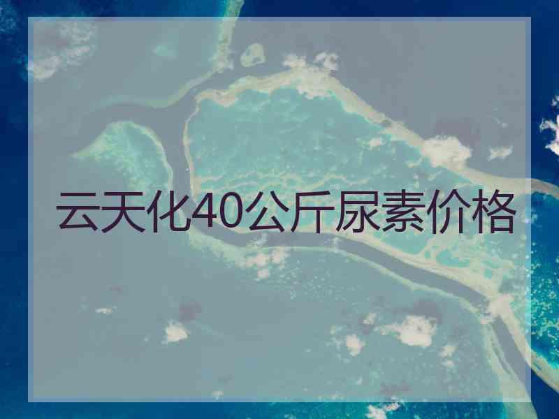 云天化40公斤尿素价格