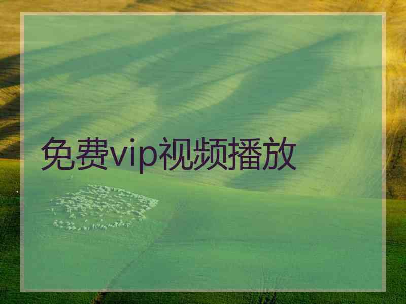 免费vip视频播放