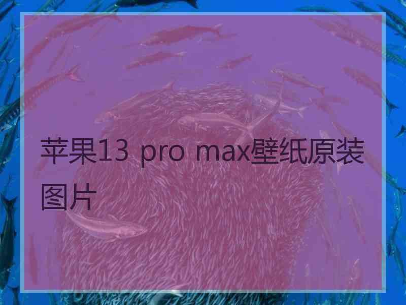 苹果13 pro max壁纸原装图片