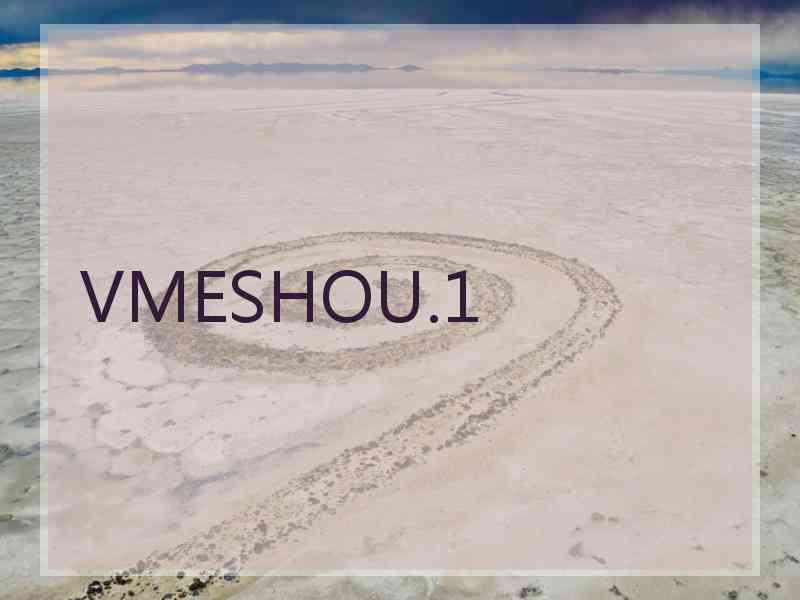 VMESHOU.1