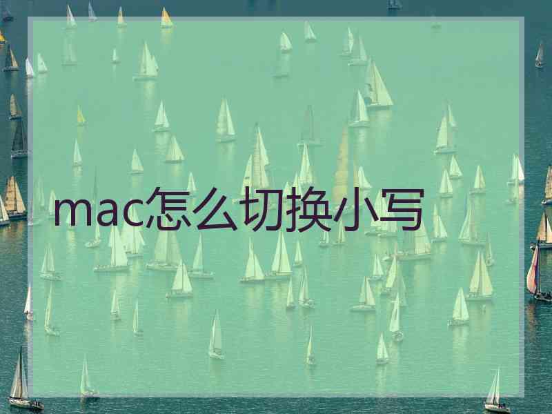 mac怎么切换小写