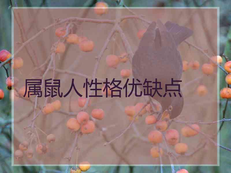 属鼠人性格优缺点