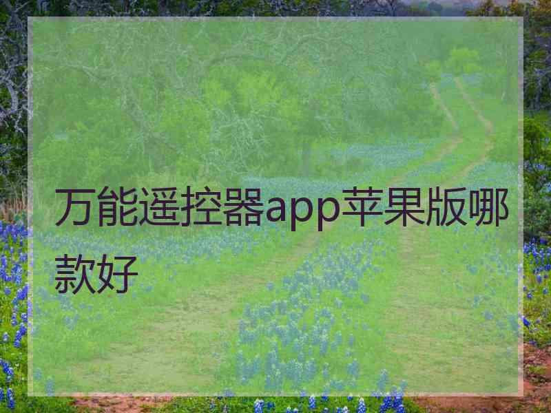 万能遥控器app苹果版哪款好