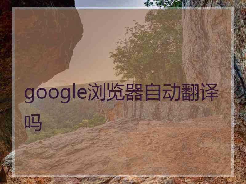 google浏览器自动翻译吗