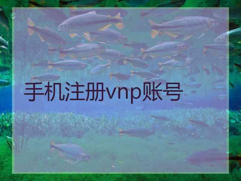 手机注册vnp账号