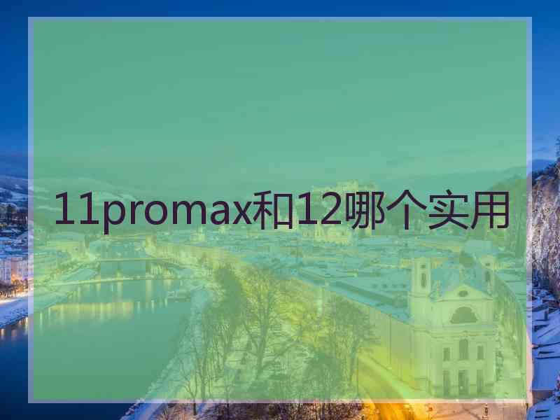 11promax和12哪个实用