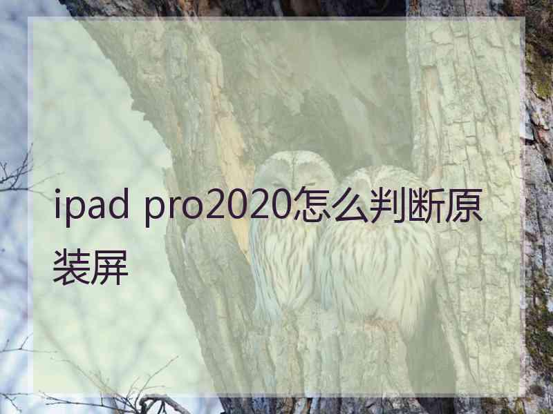 ipad pro2020怎么判断原装屏