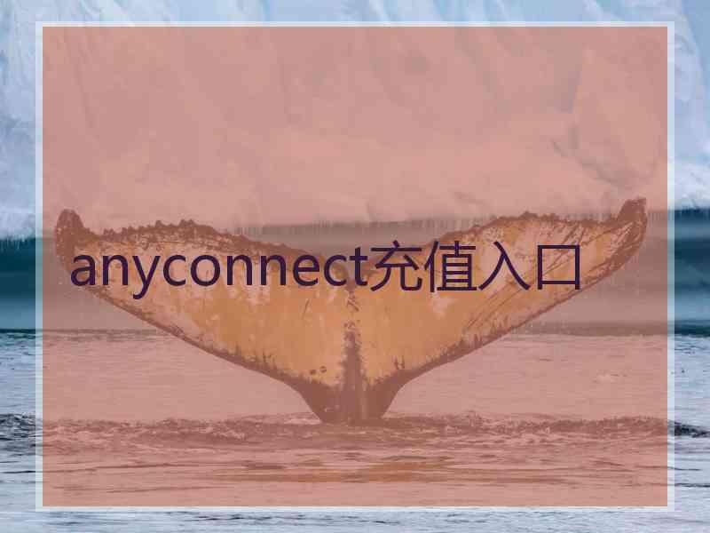 anyconnect充值入口