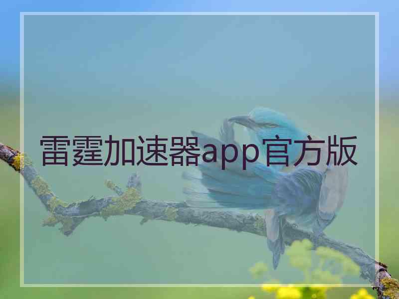 雷霆加速器app官方版