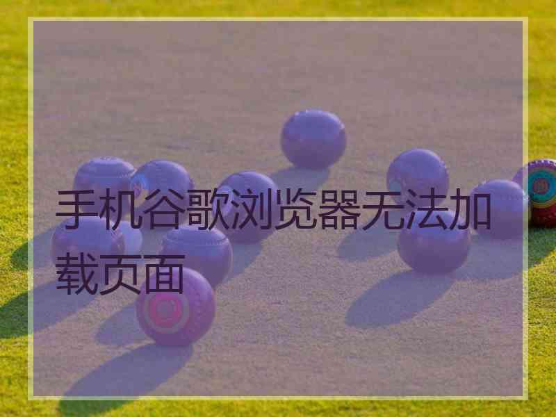 手机谷歌浏览器无法加载页面