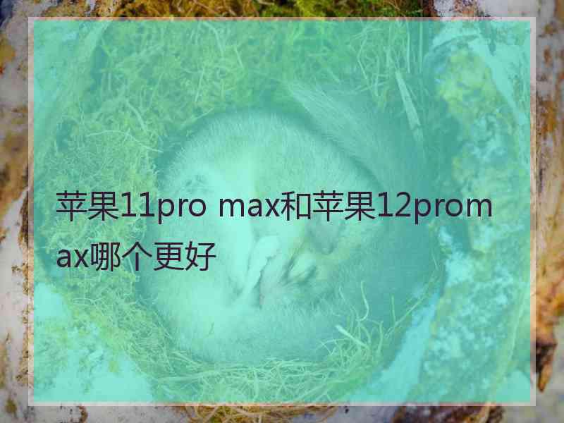 苹果11pro max和苹果12promax哪个更好