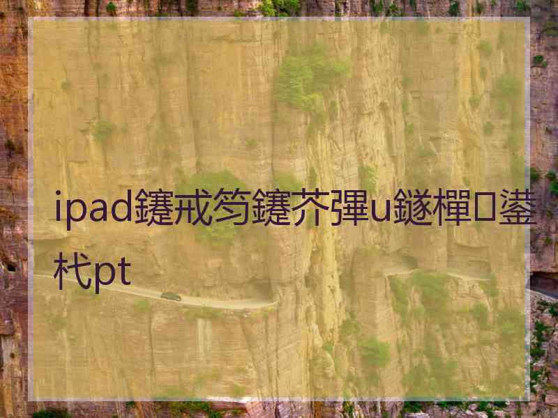 ipad鑳戒笉鑳芥彃u鐩樿鍙杙pt