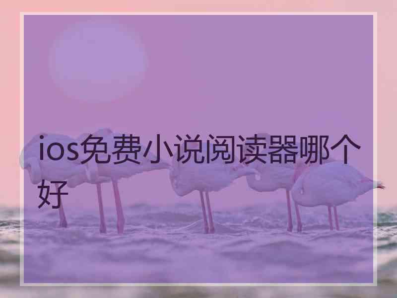 ios免费小说阅读器哪个好