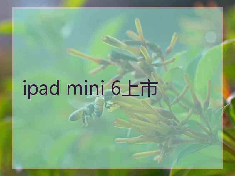 ipad mini 6上市