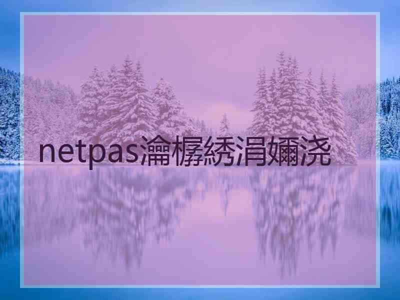 netpas瀹樼綉涓嬭浇