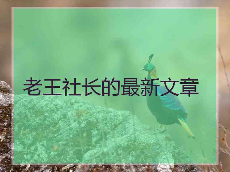 老王社长的最新文章