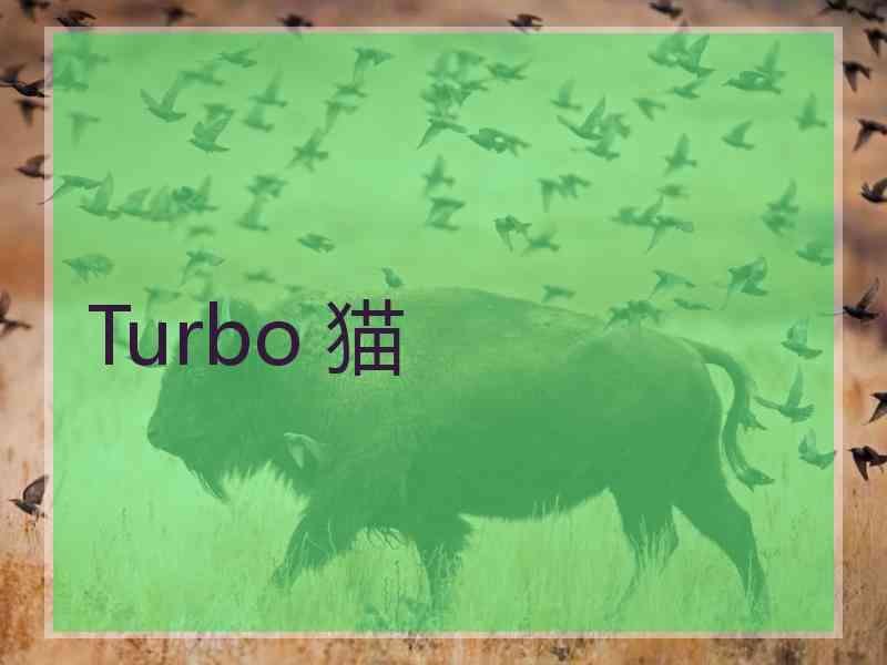 Turbo 猫