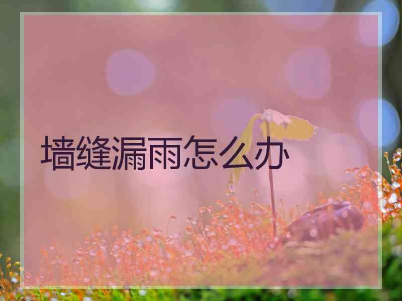 墙缝漏雨怎么办