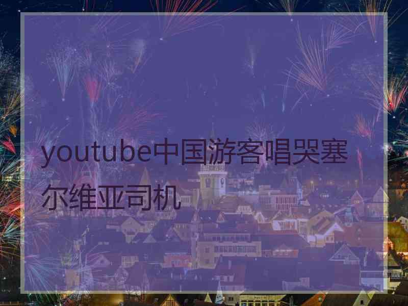 youtube中国游客唱哭塞尔维亚司机