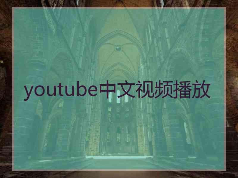 youtube中文视频播放