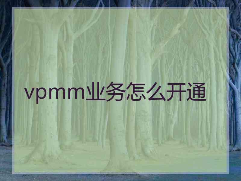 vpmm业务怎么开通