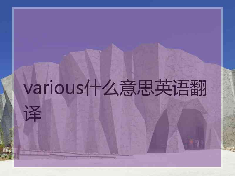 various什么意思英语翻译