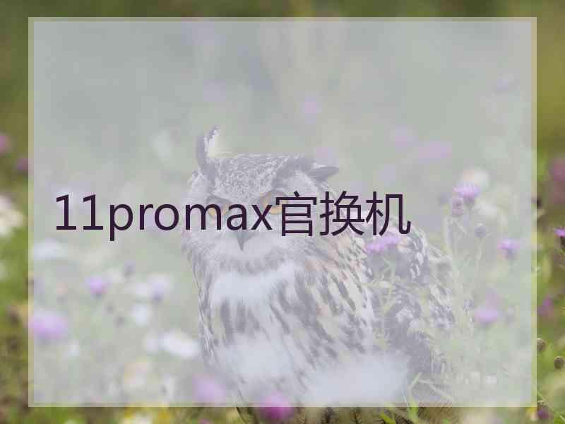 11promax官换机