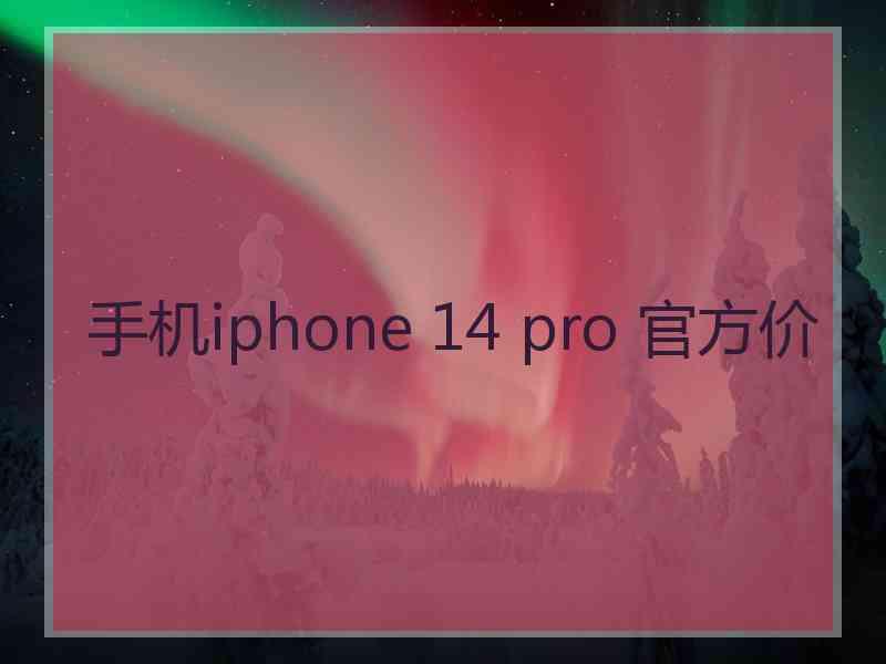 手机iphone 14 pro 官方价