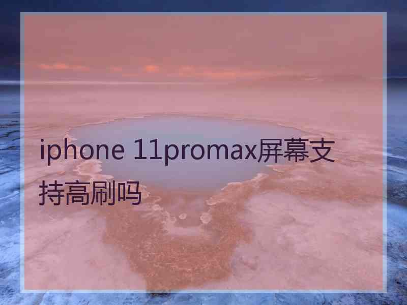 iphone 11promax屏幕支持高刷吗