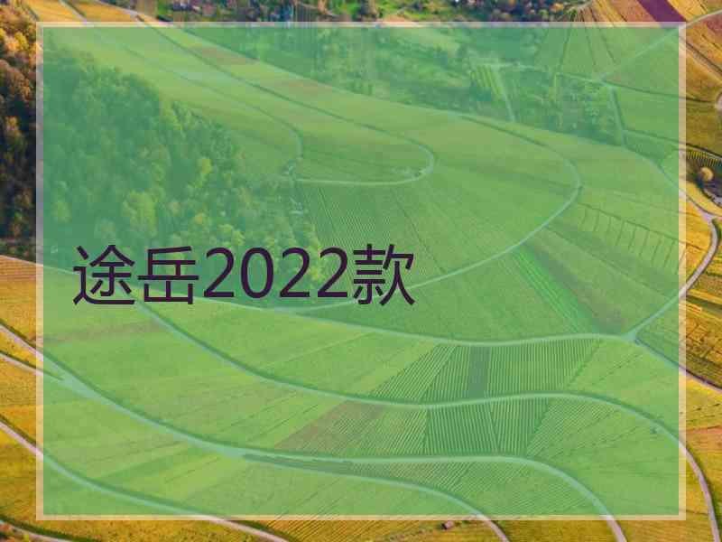 途岳2022款