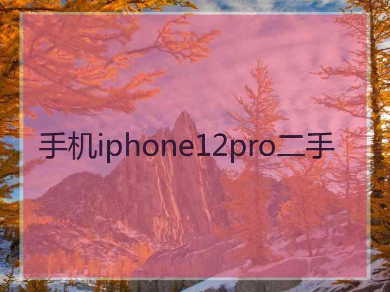 手机iphone12pro二手