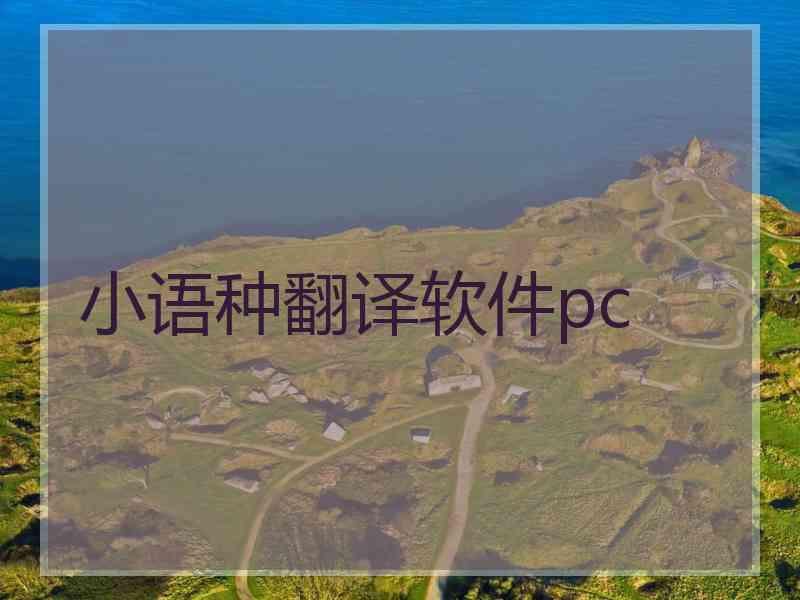 小语种翻译软件pc