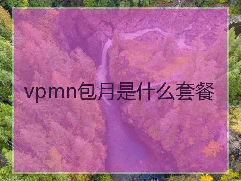 vpmn包月是什么套餐