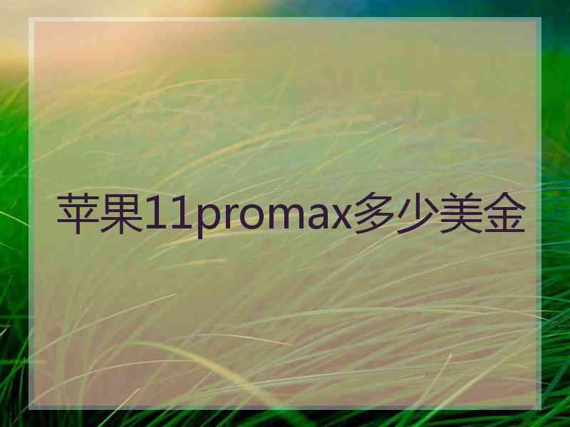 苹果11promax多少美金