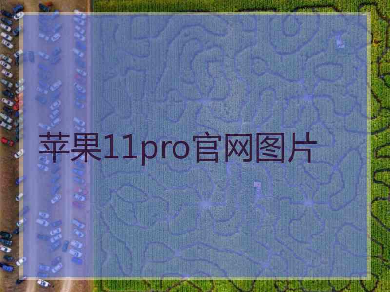 苹果11pro官网图片