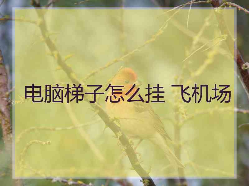 电脑梯子怎么挂 飞机场